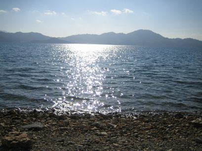 IMG_2561.JPG