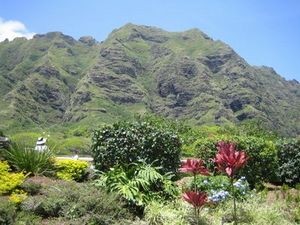 IMG_2733.JPG