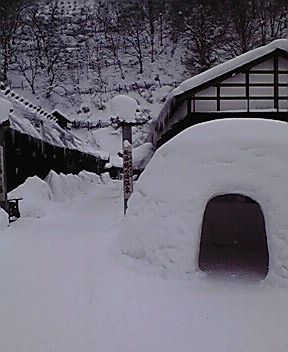 P1000041.JPG