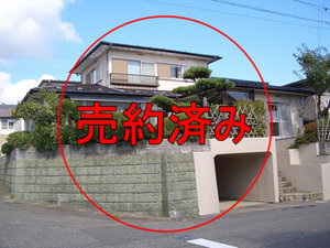 gaikanbaiyakusumi.jpg